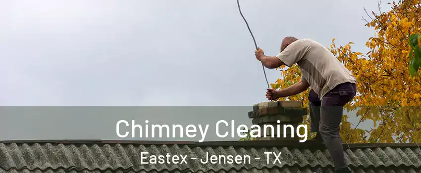 Chimney Cleaning Eastex - Jensen - TX
