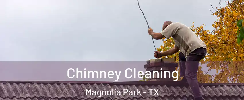 Chimney Cleaning Magnolia Park - TX