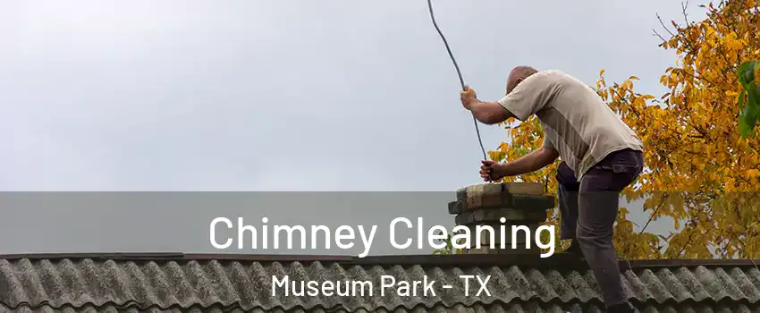 Chimney Cleaning Museum Park - TX