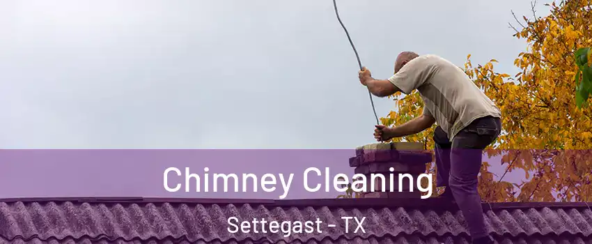 Chimney Cleaning Settegast - TX