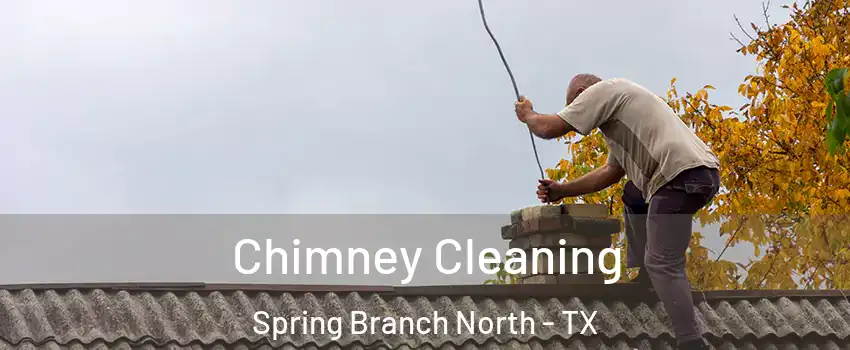 Chimney Cleaning Spring Branch North - TX