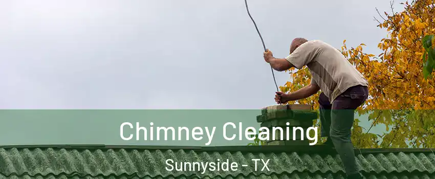 Chimney Cleaning Sunnyside - TX