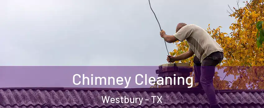 Chimney Cleaning Westbury - TX