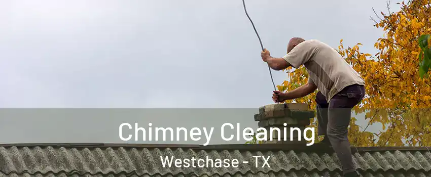 Chimney Cleaning Westchase - TX