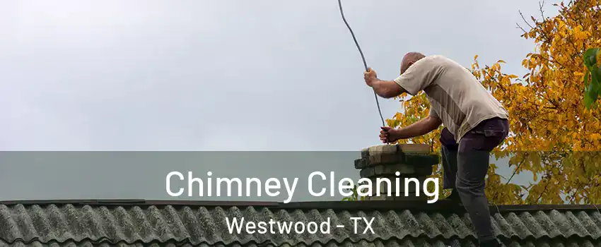 Chimney Cleaning Westwood - TX
