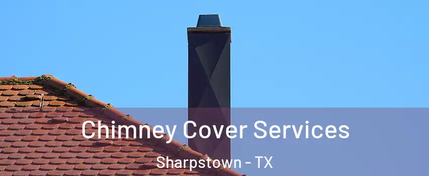 Chimney Cover Services Sharpstown - TX