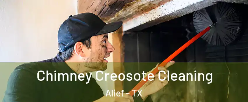 Chimney Creosote Cleaning Alief - TX