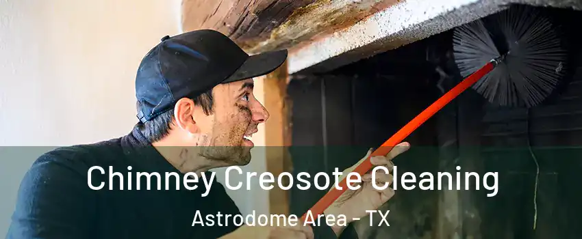 Chimney Creosote Cleaning Astrodome Area - TX