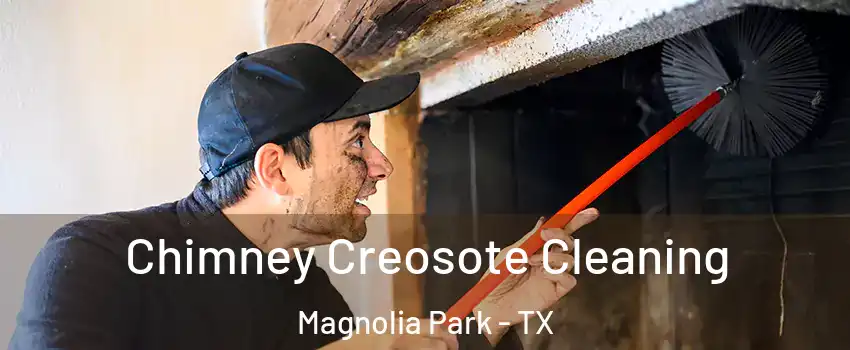 Chimney Creosote Cleaning Magnolia Park - TX
