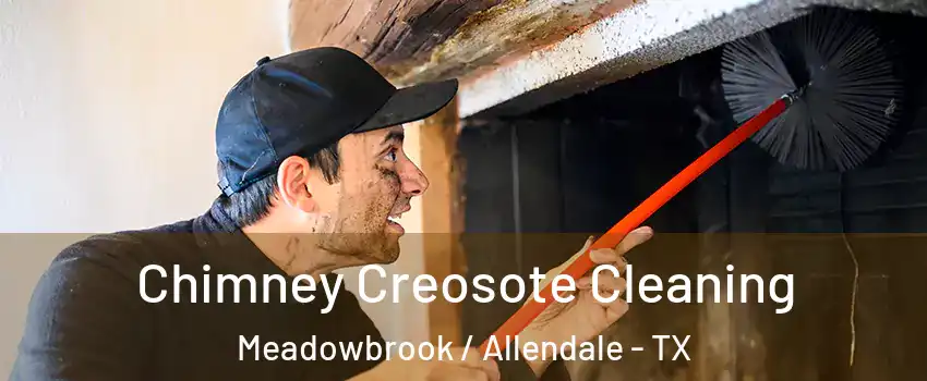Chimney Creosote Cleaning Meadowbrook / Allendale - TX