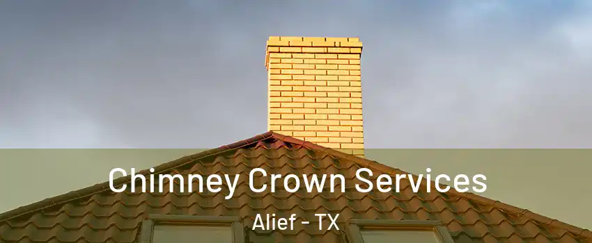 Chimney Crown Services Alief - TX