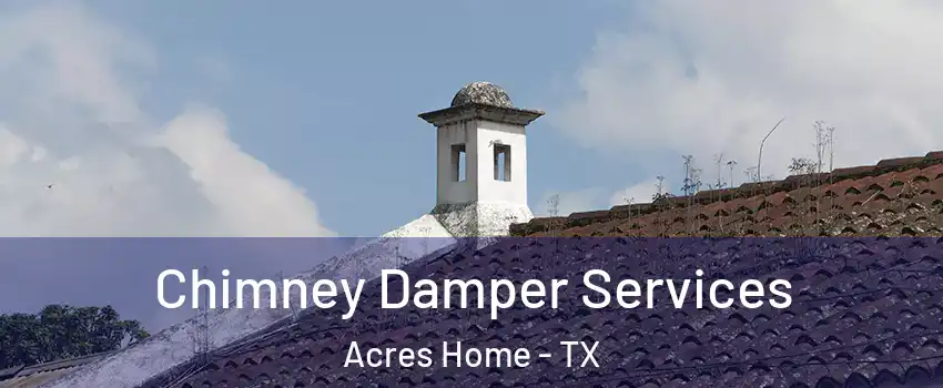 Chimney Damper Services Acres Home - TX