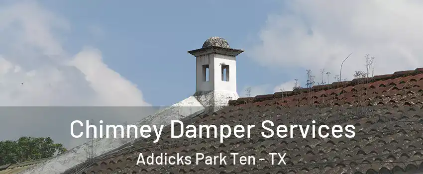 Chimney Damper Services Addicks Park Ten - TX