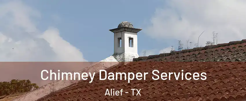 Chimney Damper Services Alief - TX