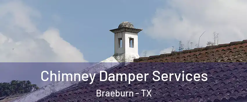 Chimney Damper Services Braeburn - TX