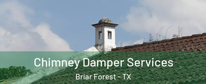 Chimney Damper Services Briar Forest - TX