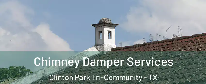 Chimney Damper Services Clinton Park Tri-Community - TX