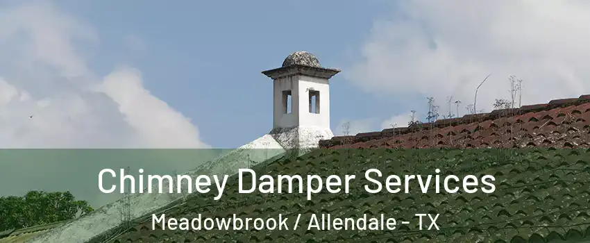 Chimney Damper Services Meadowbrook / Allendale - TX