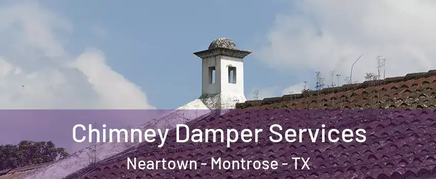 Chimney Damper Services Neartown - Montrose - TX