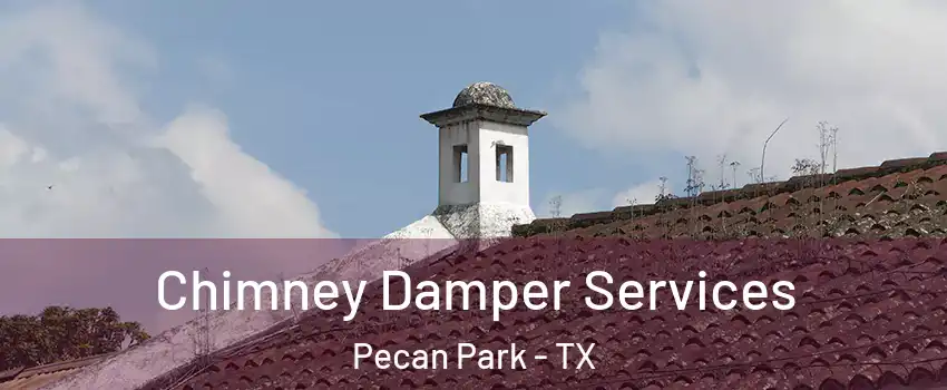 Chimney Damper Services Pecan Park - TX