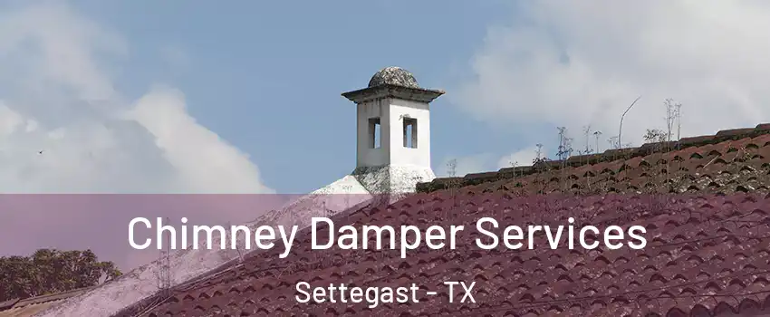 Chimney Damper Services Settegast - TX