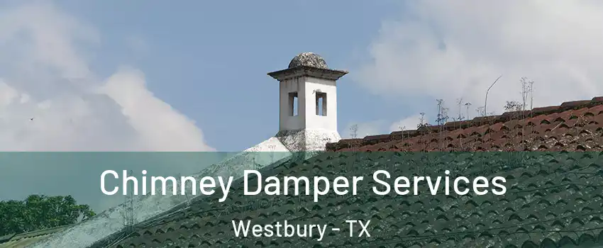 Chimney Damper Services Westbury - TX