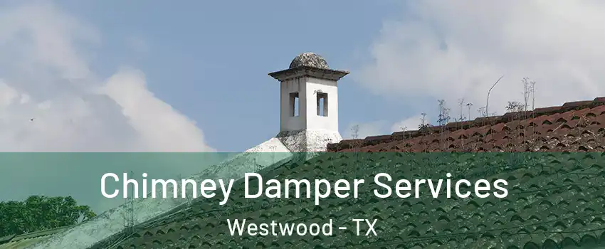 Chimney Damper Services Westwood - TX