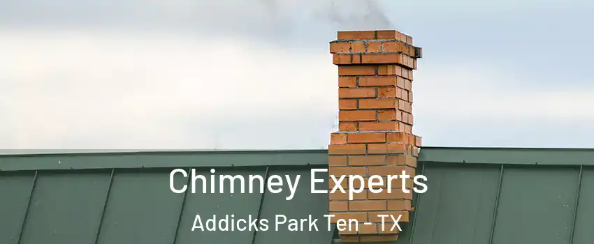 Chimney Experts Addicks Park Ten - TX