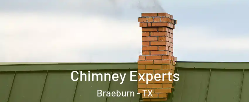 Chimney Experts Braeburn - TX