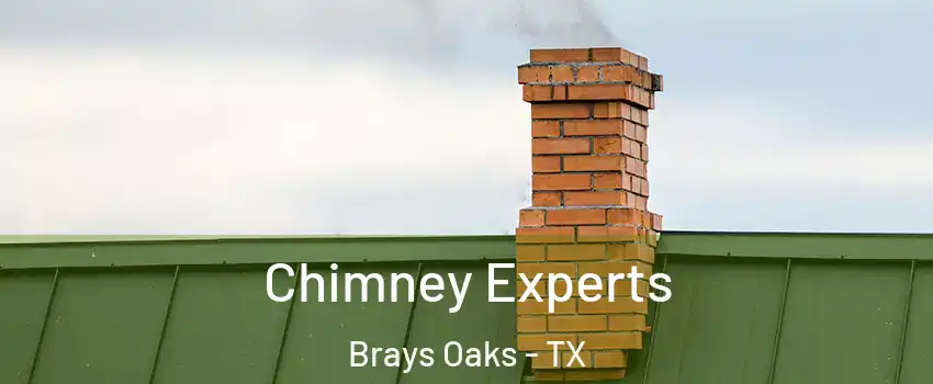Chimney Experts Brays Oaks - TX