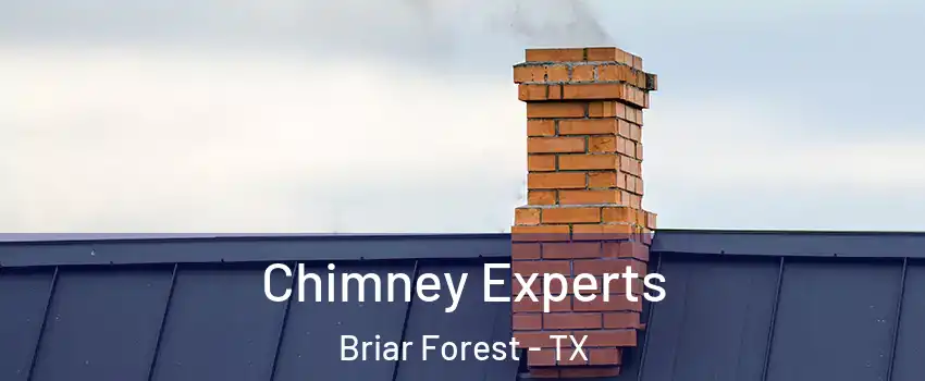 Chimney Experts Briar Forest - TX