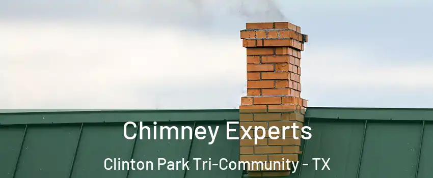 Chimney Experts Clinton Park Tri-Community - TX