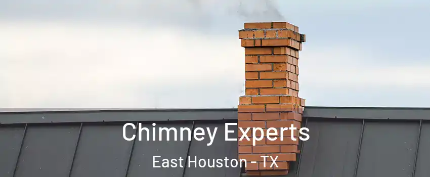 Chimney Experts East Houston - TX
