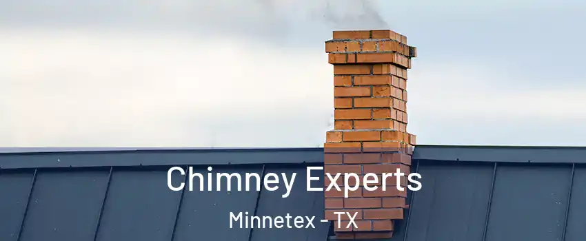 Chimney Experts Minnetex - TX