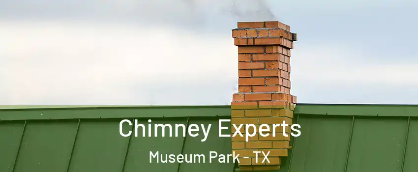 Chimney Experts Museum Park - TX