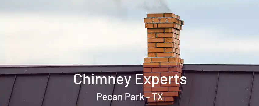 Chimney Experts Pecan Park - TX