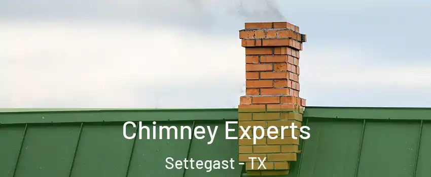 Chimney Experts Settegast - TX