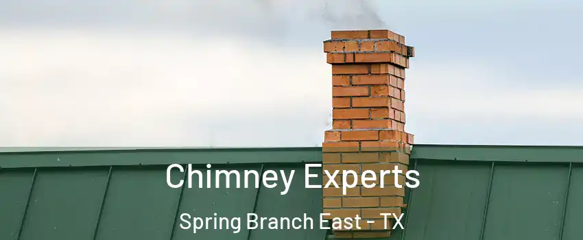 Chimney Experts Spring Branch East - TX