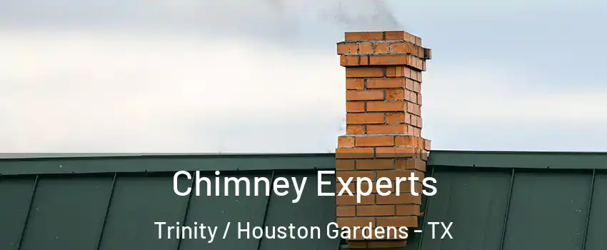 Chimney Experts Trinity / Houston Gardens - TX