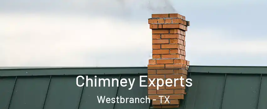 Chimney Experts Westbranch - TX