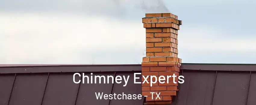Chimney Experts Westchase - TX