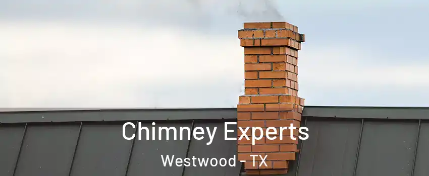 Chimney Experts Westwood - TX