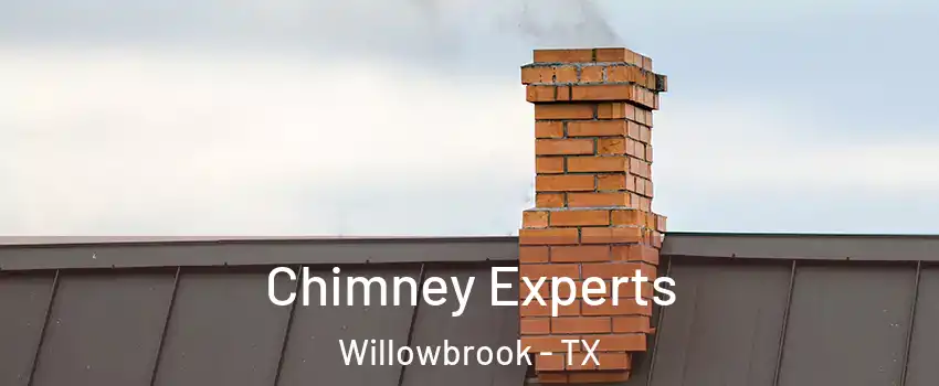 Chimney Experts Willowbrook - TX