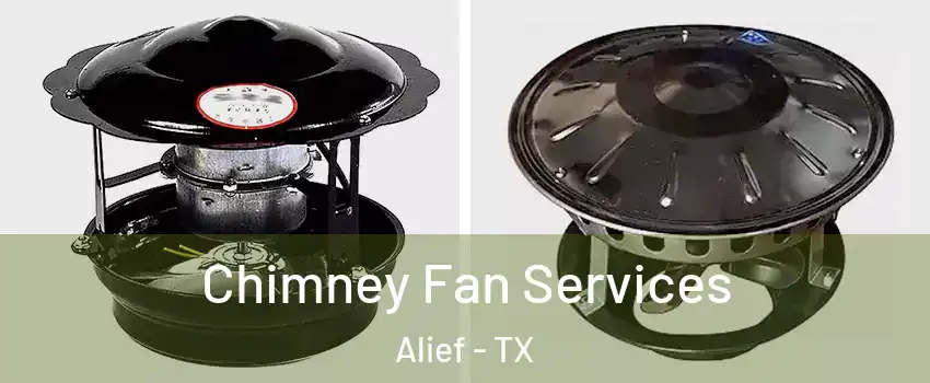 Chimney Fan Services Alief - TX