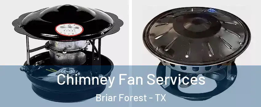 Chimney Fan Services Briar Forest - TX