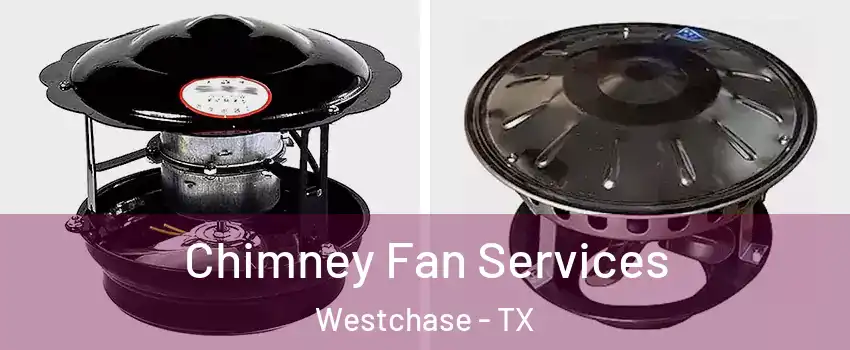 Chimney Fan Services Westchase - TX