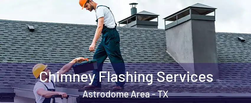 Chimney Flashing Services Astrodome Area - TX