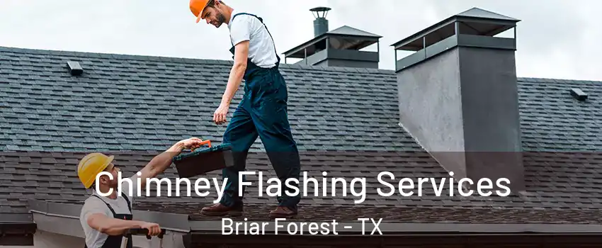 Chimney Flashing Services Briar Forest - TX