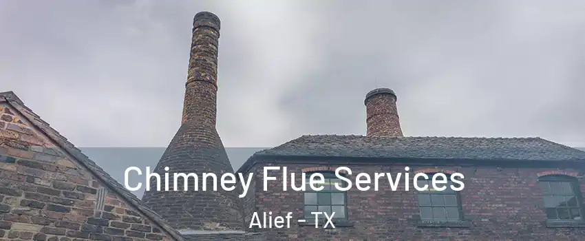 Chimney Flue Services Alief - TX