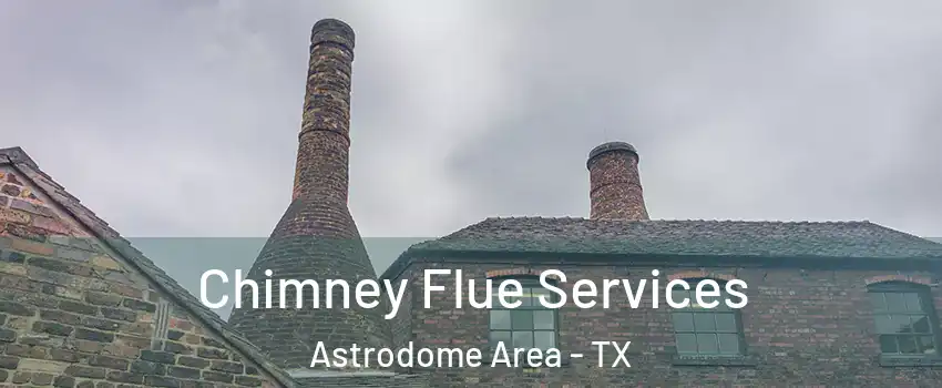 Chimney Flue Services Astrodome Area - TX